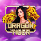 Dragon Tiger on d9d9 game