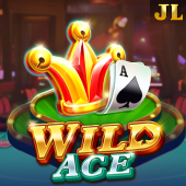 Wild Ace slot on d9d9 game